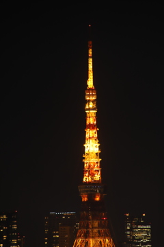 GINZA SIX　より