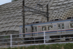 流し撮り練習してみました
