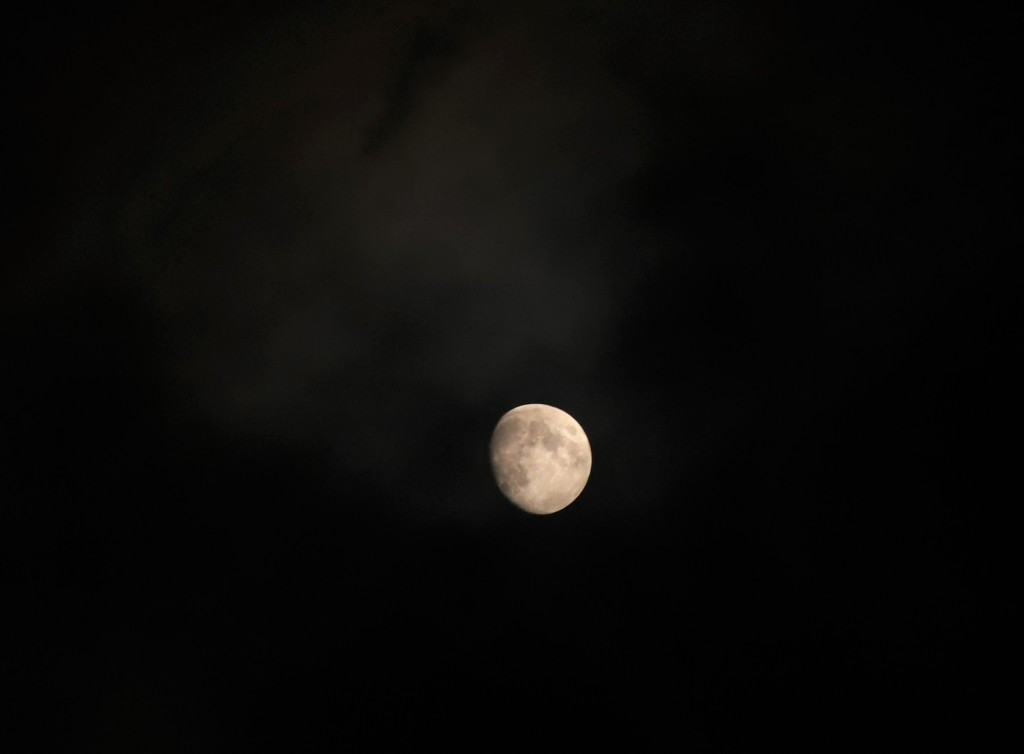 Luna