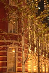 Tokyo Station(1)