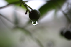 Natural