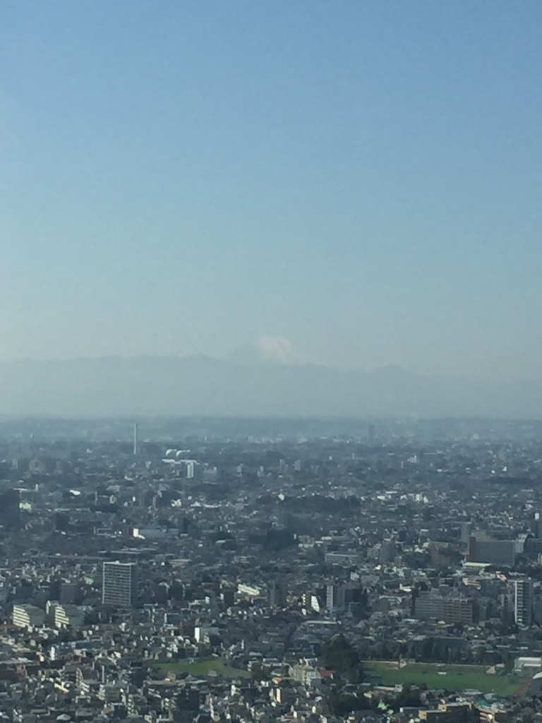 微かに富士山が