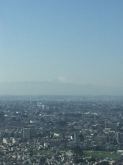 微かに富士山が