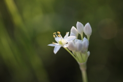 幸せは途切れながらも続くのです