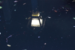 投影（3）