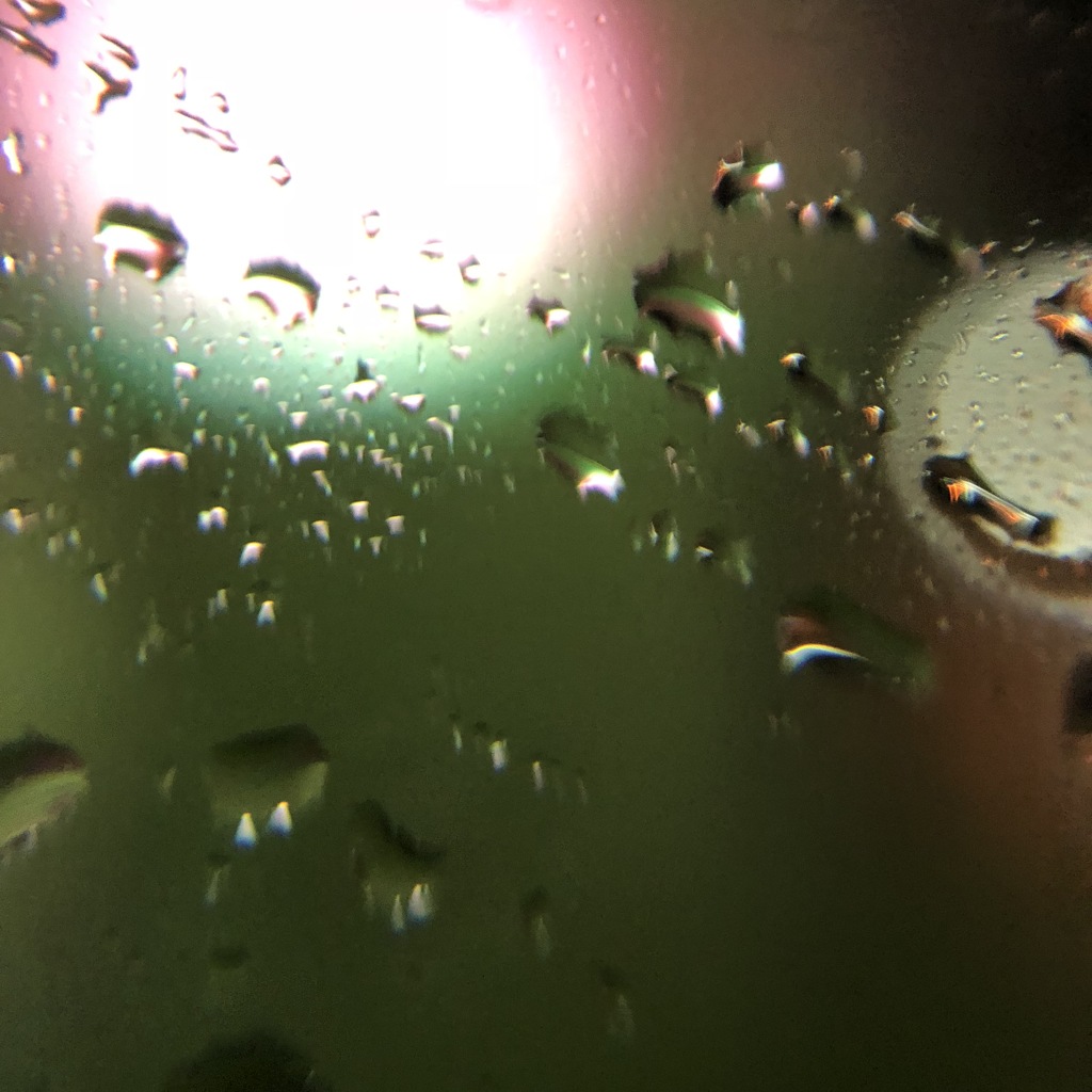 Rainy night