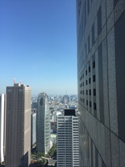ビルの向こうに