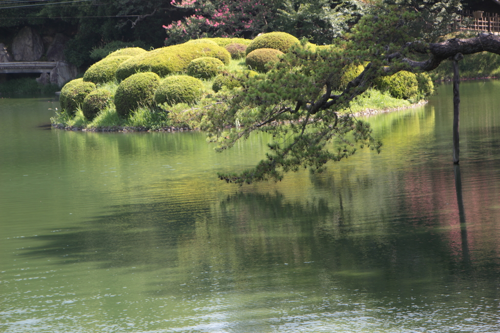 南湖（3）～栗林公園～