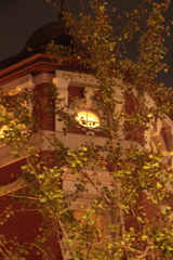 Tokyo Station（2）