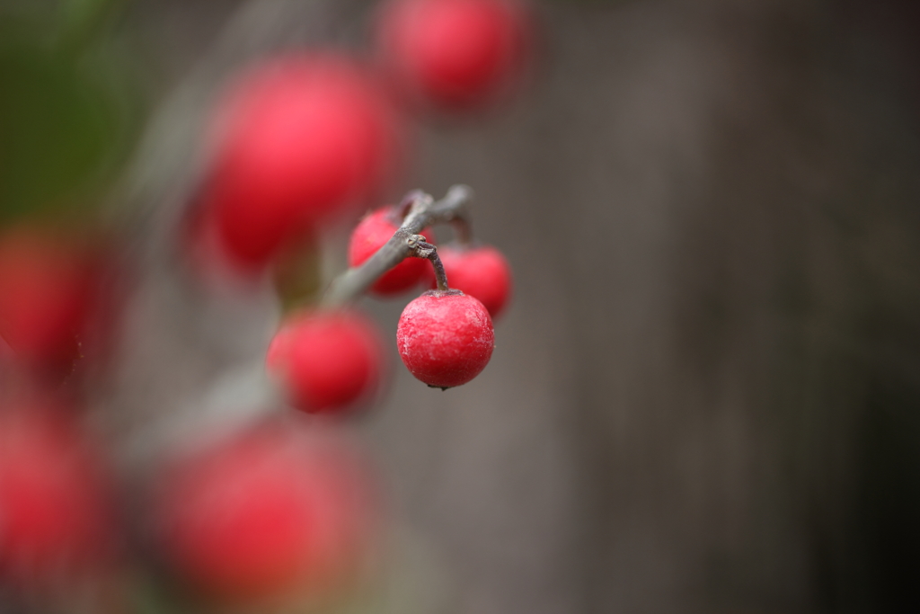 紅く