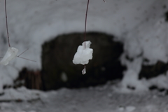 雪花