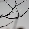 雫（10）