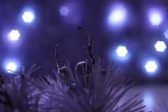 Oｈ Holy Night