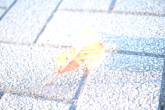 ハイキ―な世界