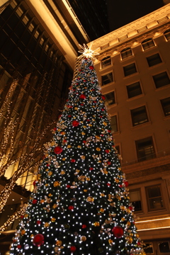 クリスマスツリー