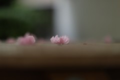 落花