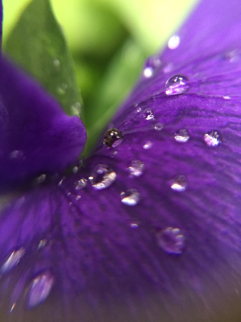 マクロであそぼ（34）