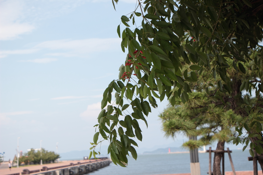 街角スナップ（6）