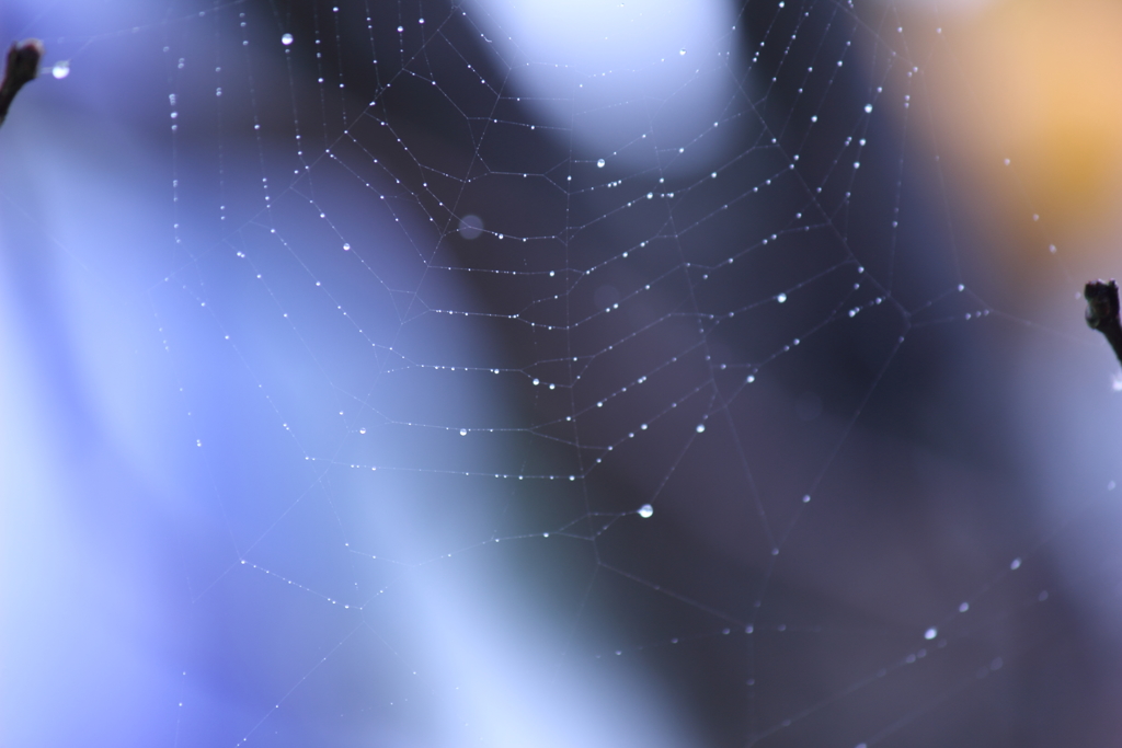 雨