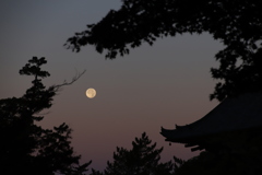 有明の月