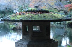 秋も終わり（7）