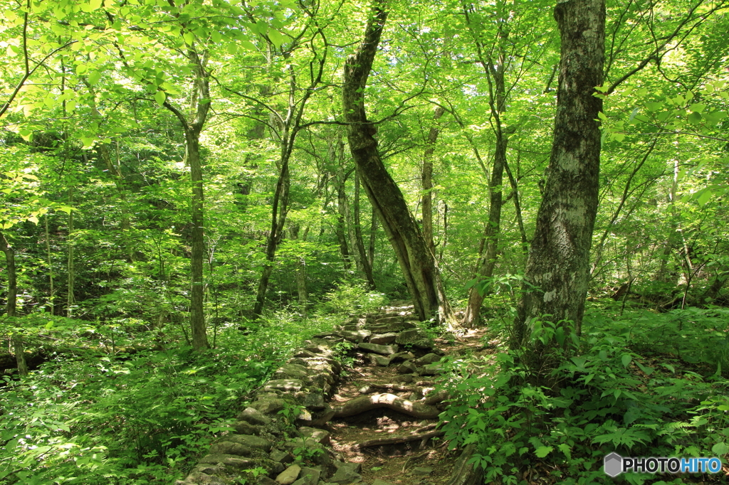 三頭山にて（5）