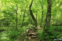 三頭山にて（5）