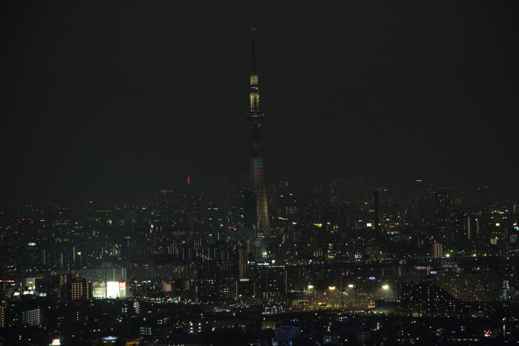 夜景