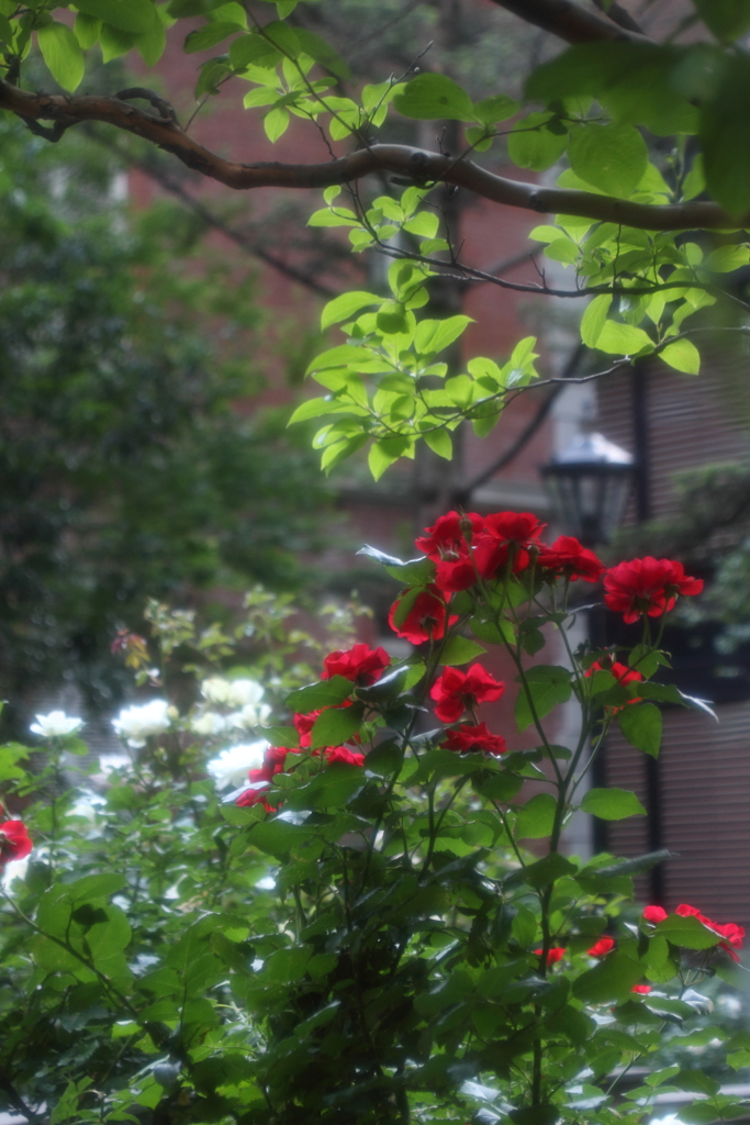 三菱一号館美術館（7）