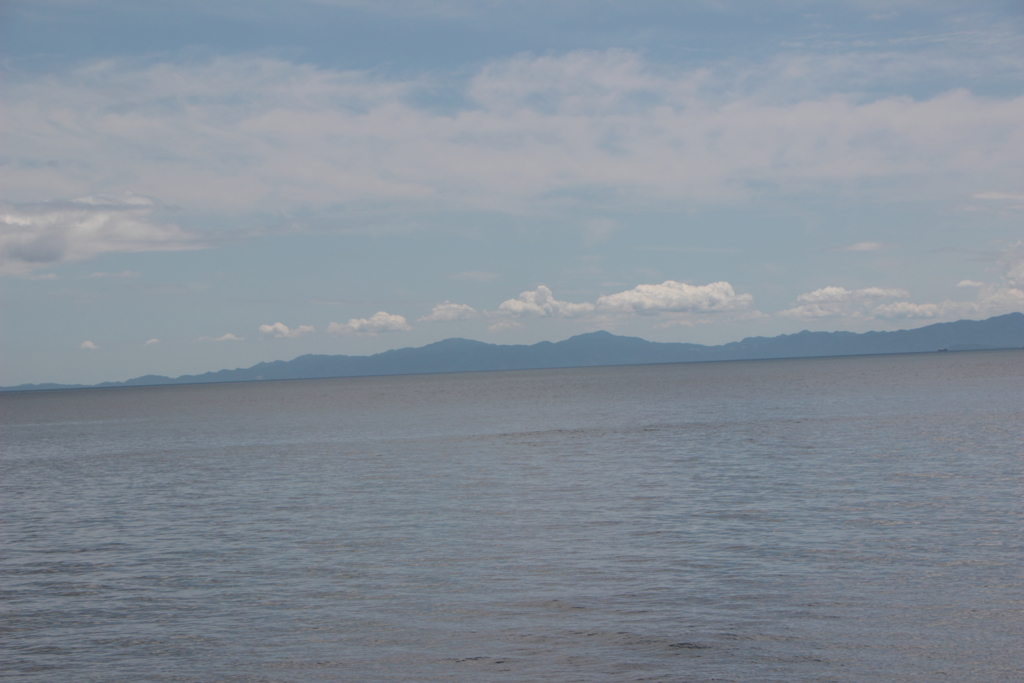 夏のひとコマ（5）