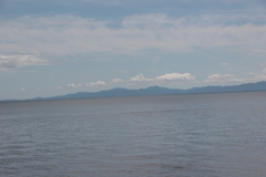 夏のひとコマ（5）