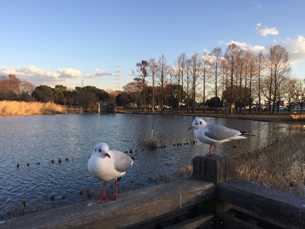 本日のひとコマ