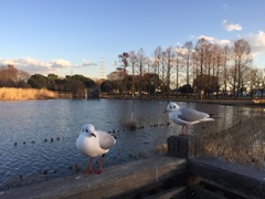 本日のひとコマ