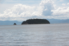 夏のひとコマ（4）