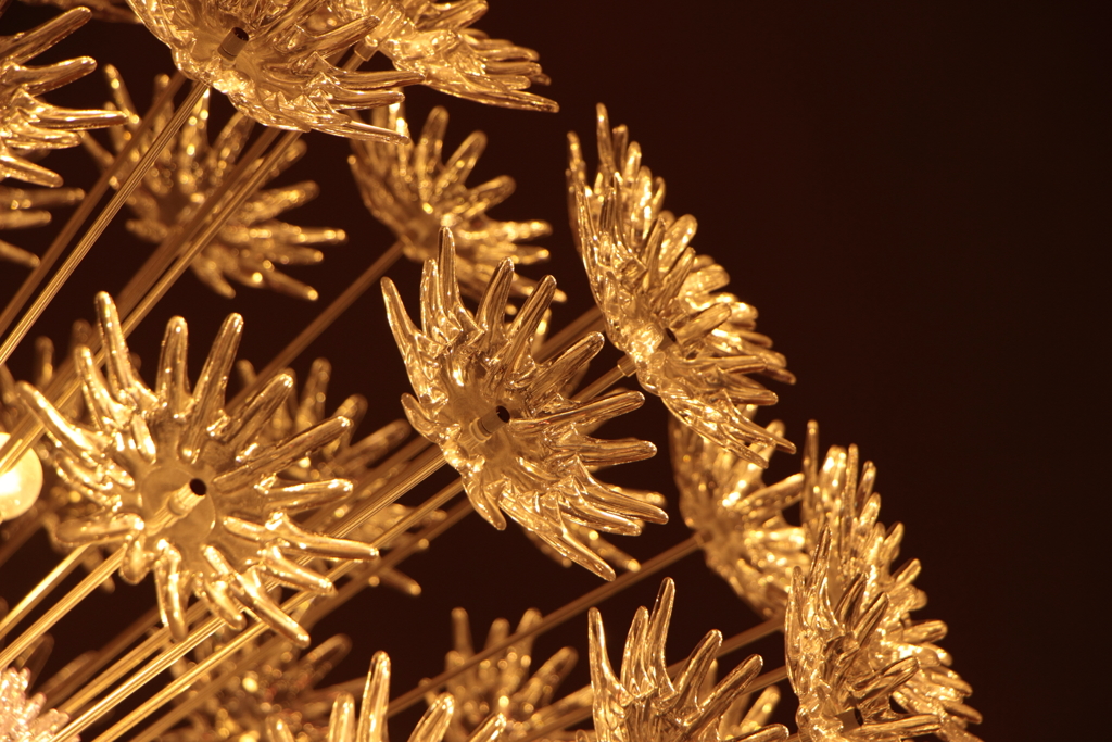 ヒカリノハナ（1）