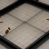 落ち葉～デジイチで～（3）