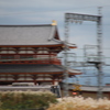 流し撮りもチャレンジしてみました