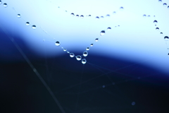 雫
