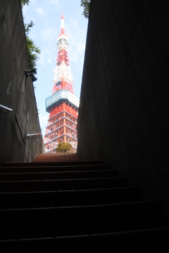 The back street of Tokyo
