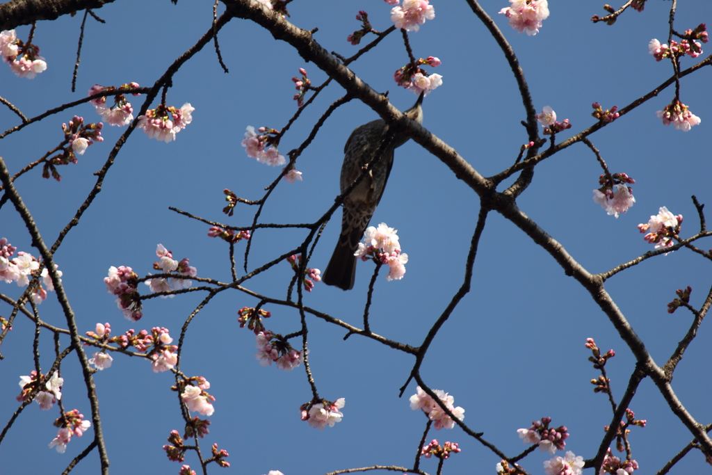 春の陽気に誘われて