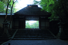京都にて（1）