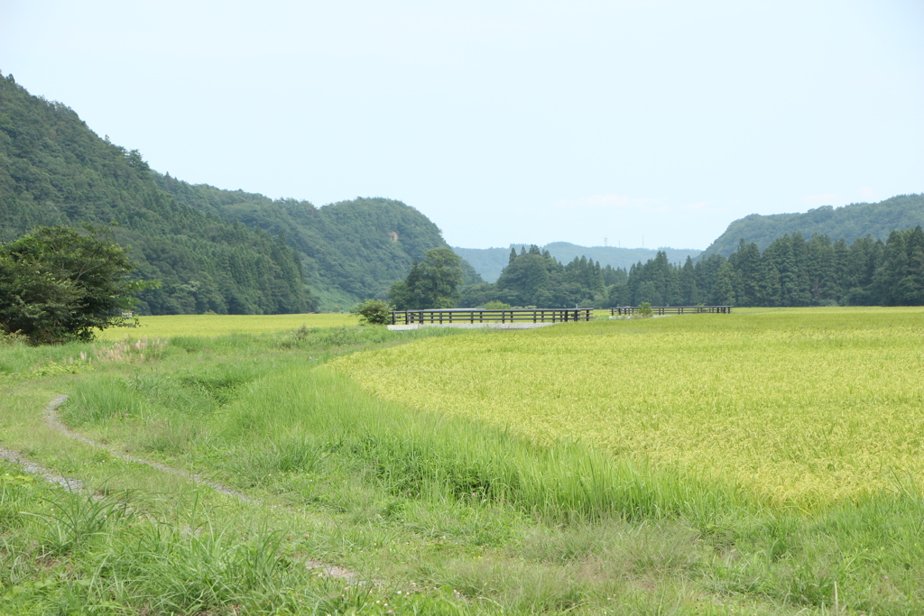 なつやすみ（2）
