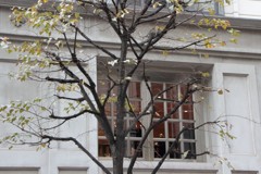 街角スナップ_銀座編（１）