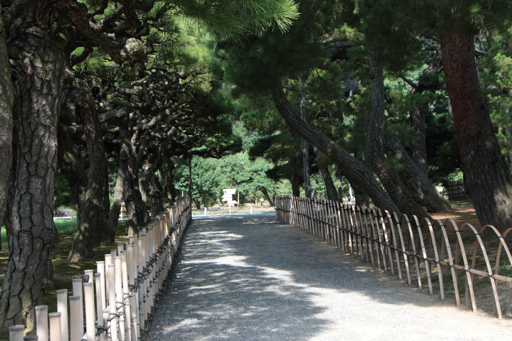 松並木～栗林公園～
