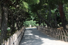 松並木～栗林公園～