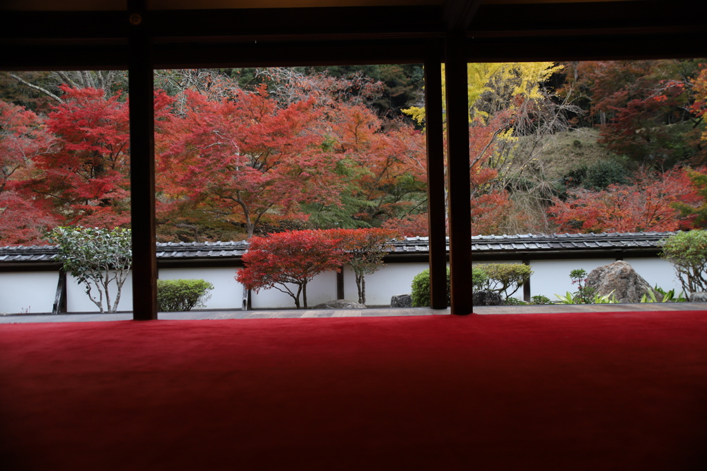 正暦寺　福寿院（2）