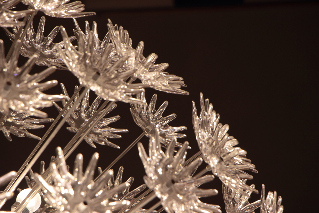 ヒカリノハナ（2）