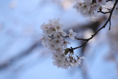 刹那に