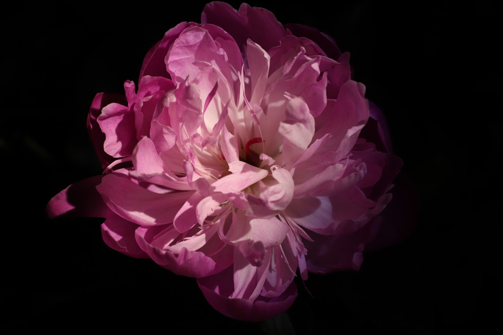 華
