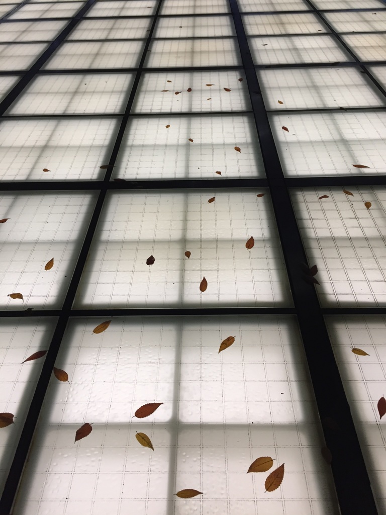 落ち葉（2）